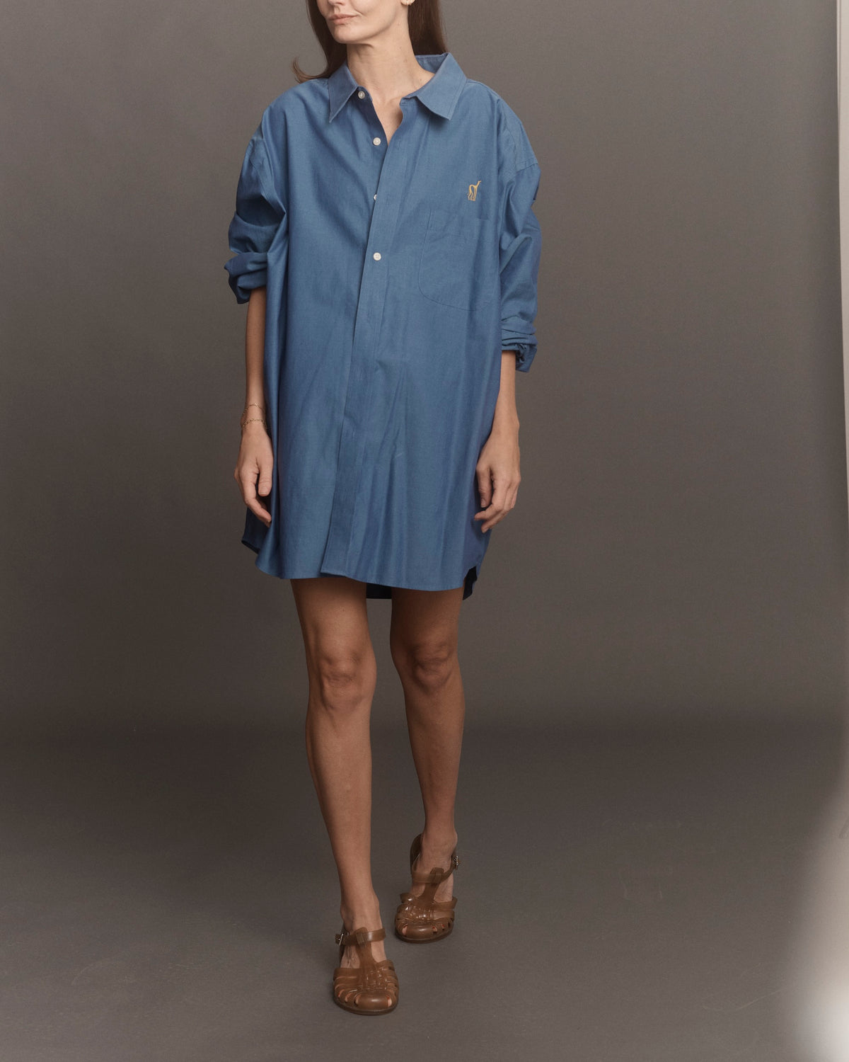 Library Card Button Down