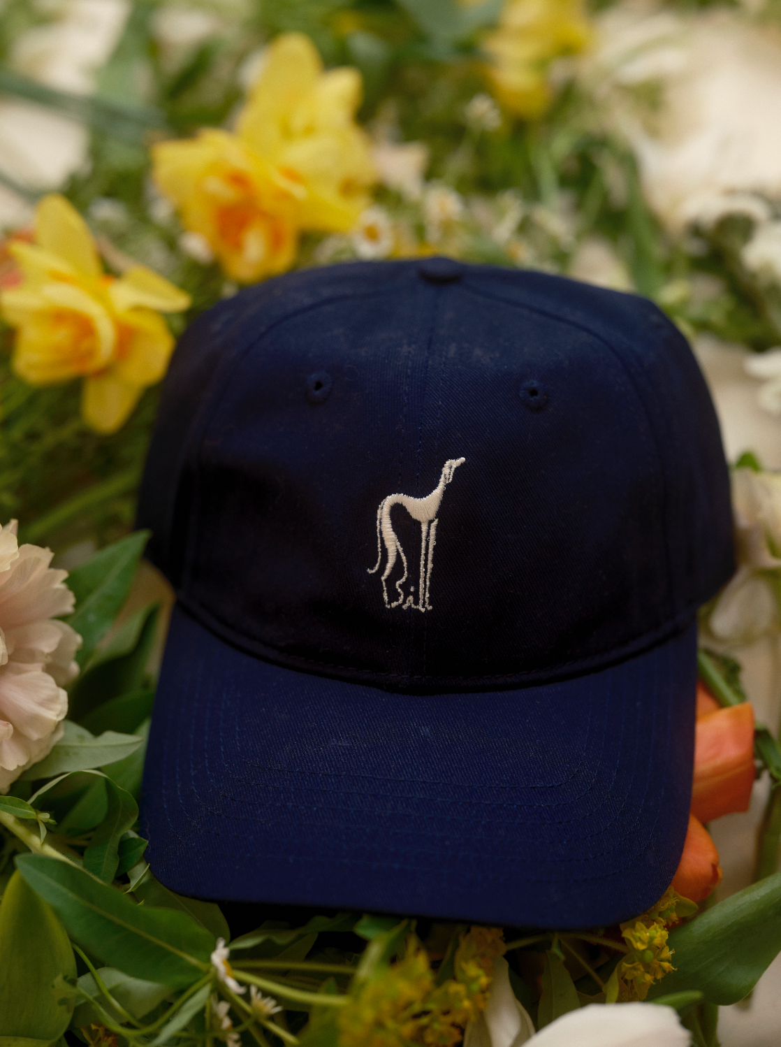 The Bill Hat